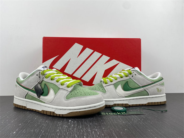 Nike SB Dunk DO9457-100.5
